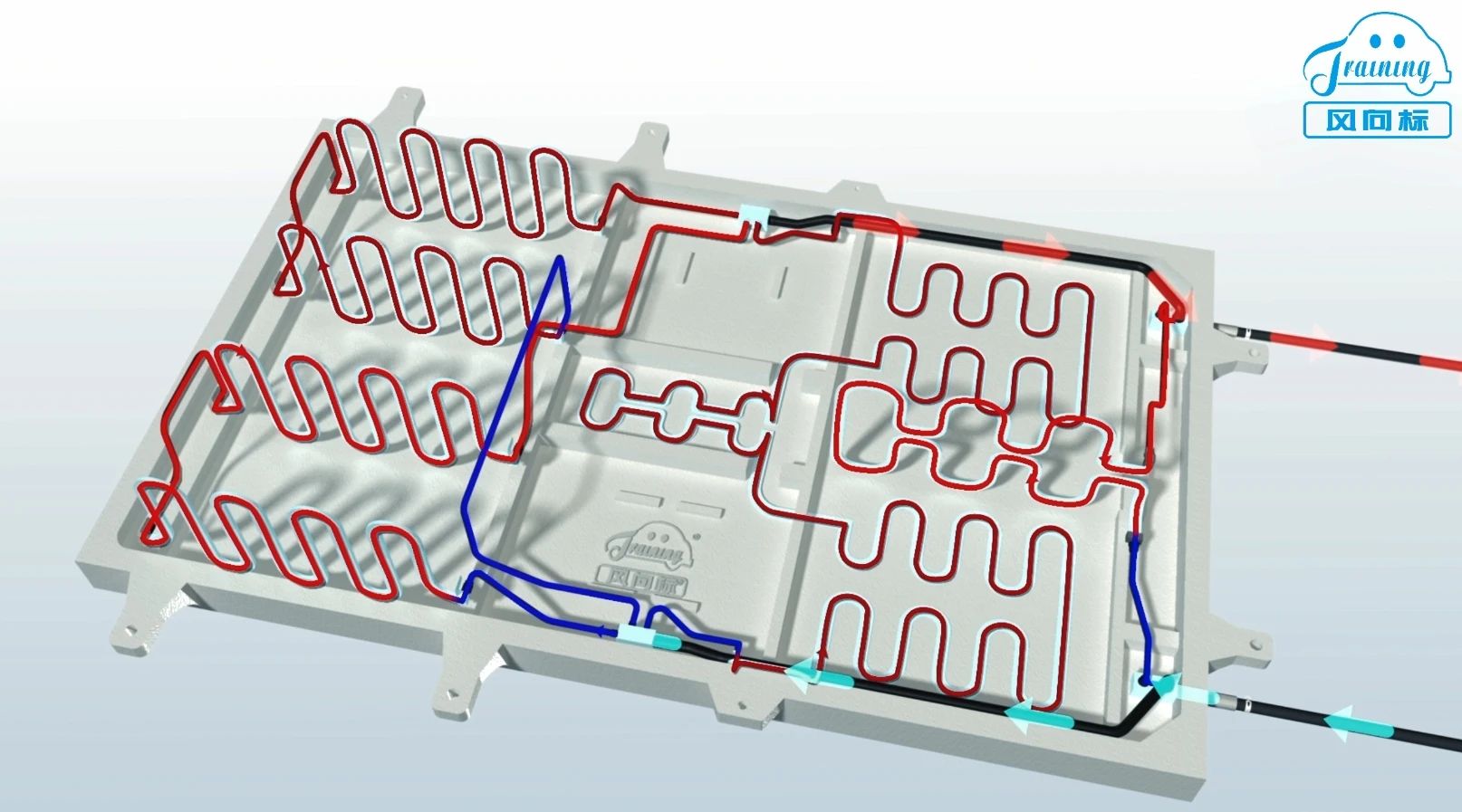 深圳風(fēng)向標(biāo)教育資源股份有限公司