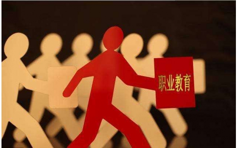 職教專(zhuān)家：發(fā)展適應(yīng)產(chǎn)業(yè)需求的多樣化職業(yè)教育模式